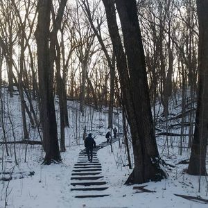 Meet your Posher, Maia